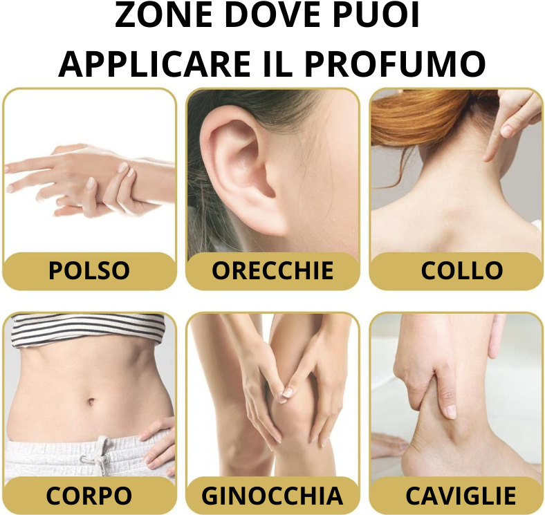 POLSO.png